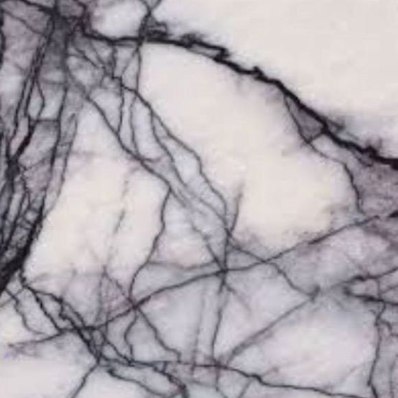 Meet your Posher, Lulu - Picture 1 of 1